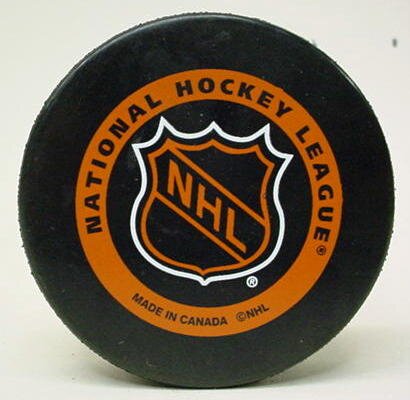 I'm that puck you thought went over the glass, but didn't. It's not easy being me, as you'll soon see.