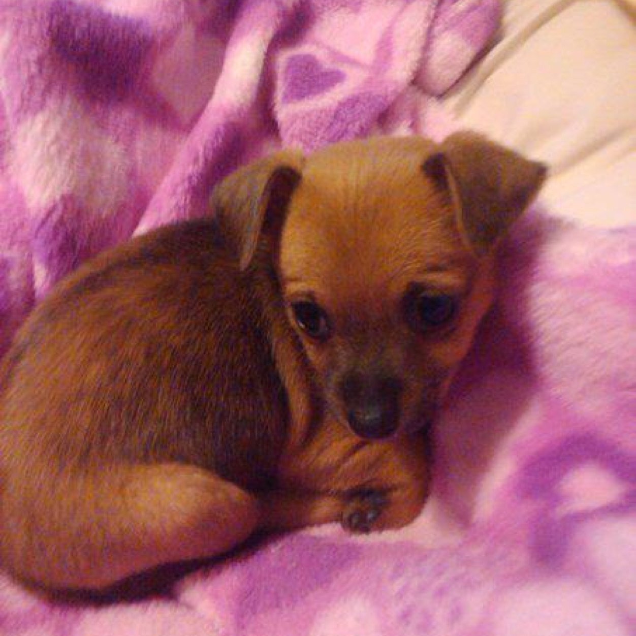 Christi42900788's profile picture. 