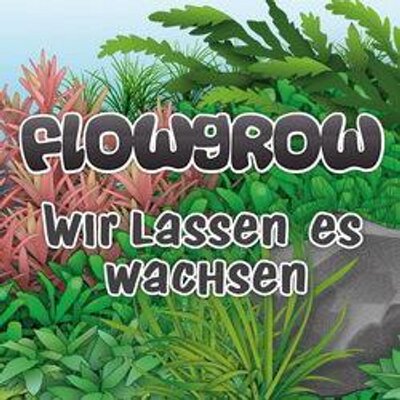 flowgrow on twitter pilotrichaceae