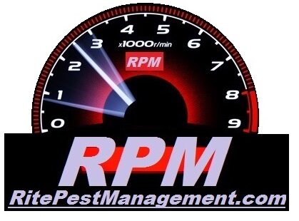 RitePest's profile picture. We are a full service company with over 25 years of experience in the pest control industry, so make the Rite choice and contact us today.