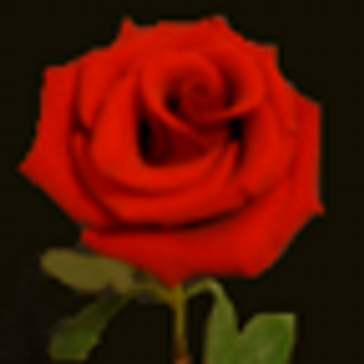 iamwun's profile image