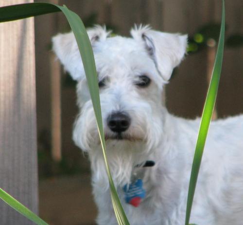 Itinerant engineer and photographer wannabe...