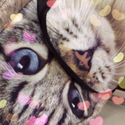 ももすけは垢移動