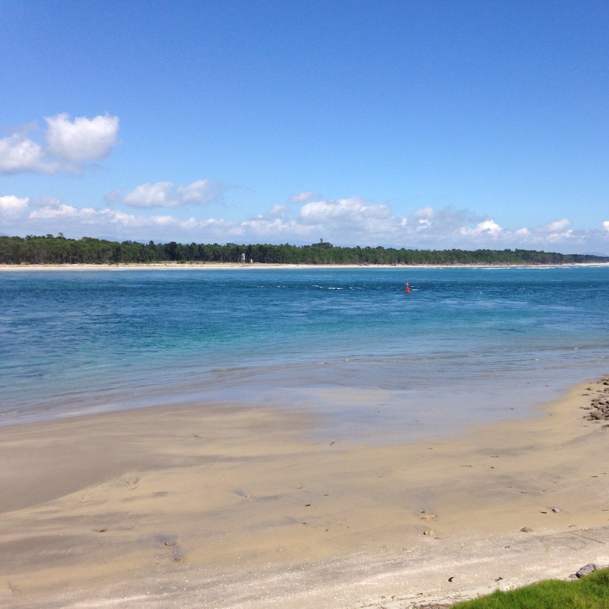 DanBarrington5's profile picture. 