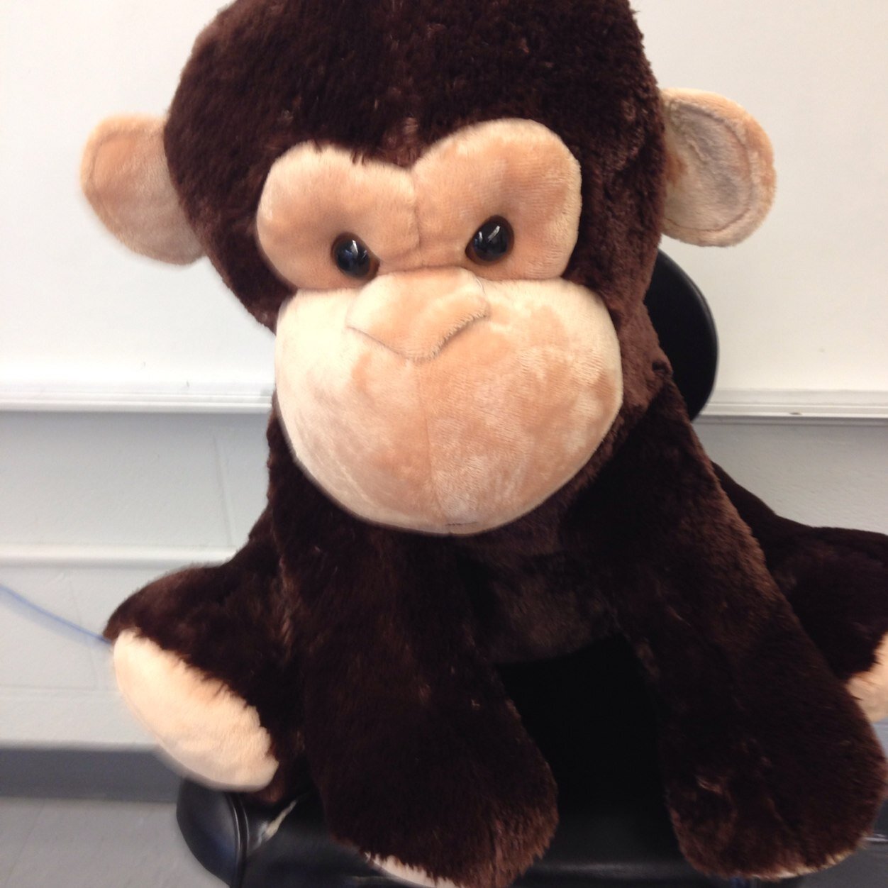 kldmcclellan's profile picture. 