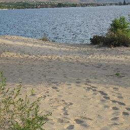 prettyboobs's profile picture. 