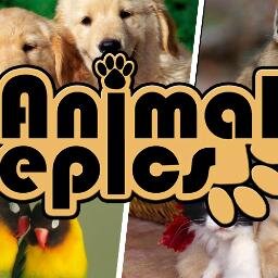http://t.co/fp80ckRnUZ 
Because animals are epic, and we know that! So we created this page to share some happiness with you! :)