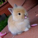 Eileen Willard - @EileenWillard - Twitter