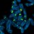 TeamCentromere's profile image