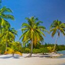 Susan Beth Rodgers - @SueRodgers54 - Twitter