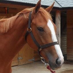 wendywalters27's profile picture. 