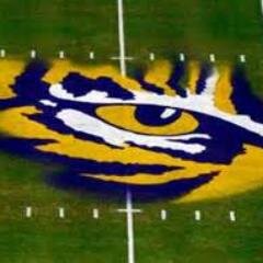 Lsu everything , Golfer, Hunting, fishing, Who dat, Nola Pelican