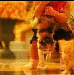 استغفرالله العظيمَ واتووبَ اليه ♡♡ |