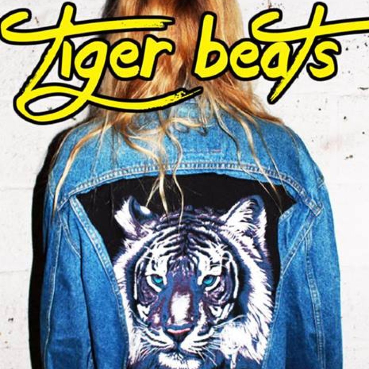 MONDAYS ARE FOR DANCING!
Your weekly indie dance party at The Barbary - 951 Frankford Ave. E-mail us: tigerbeatsphilly@gmail.com