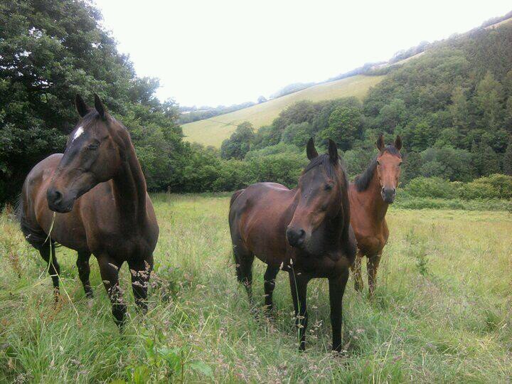 farmer,lorry driver ,husband of Tracy,father of Laura and Natalie