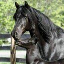 raquel simon - @Raaasimon - Twitter