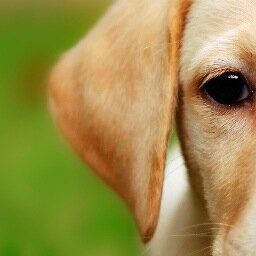 CorsicaLE's profile picture. Blond et mecheux, la base. Hipster, ok. Pas de soucis, mais bon je vis comme tout le monde et dans cinq ans je rigolerais en voyant ma photo, c'est tout.
#SWAG