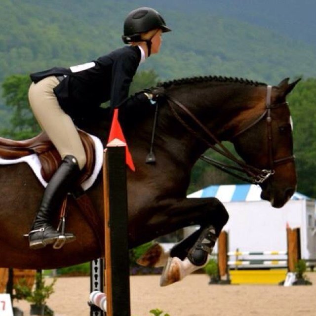 your average white girl equestrian in love with starbucks and netflix•Zone 1•