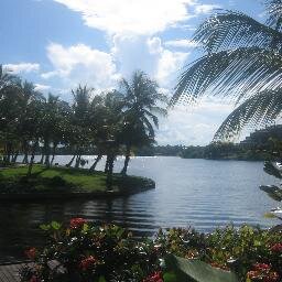 gladyscastillof's profile picture. 