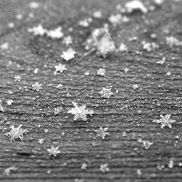 brisimpson102's profile picture. 