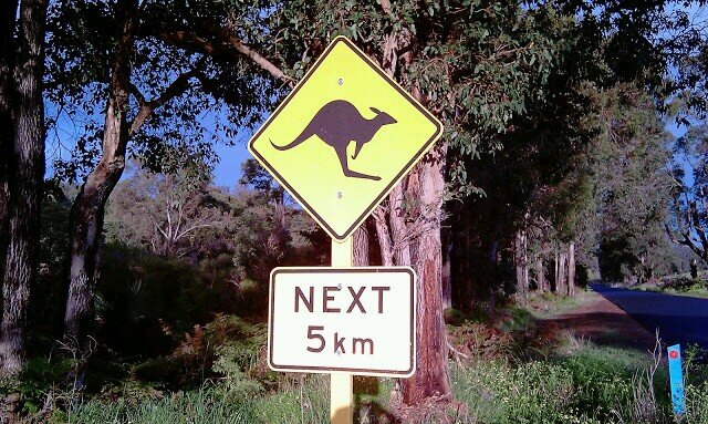 raul10hernandez's profile picture. 