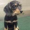 Sharon Manna - @Dvillesharon - Twitter