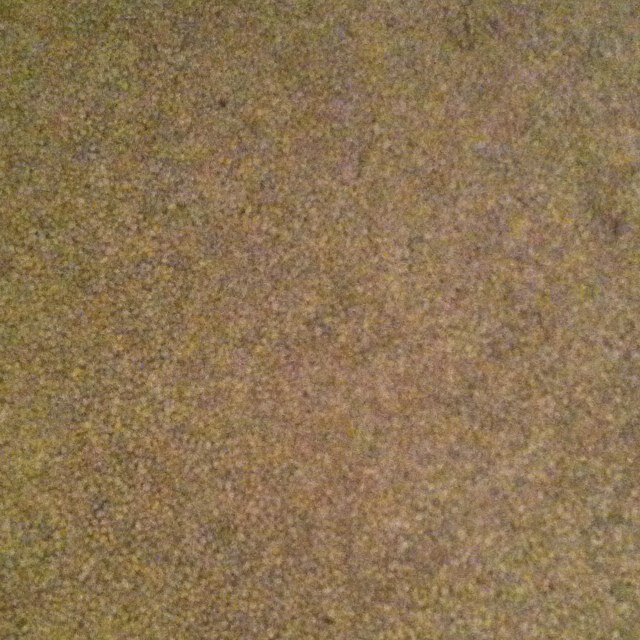 darndale's profile picture. 