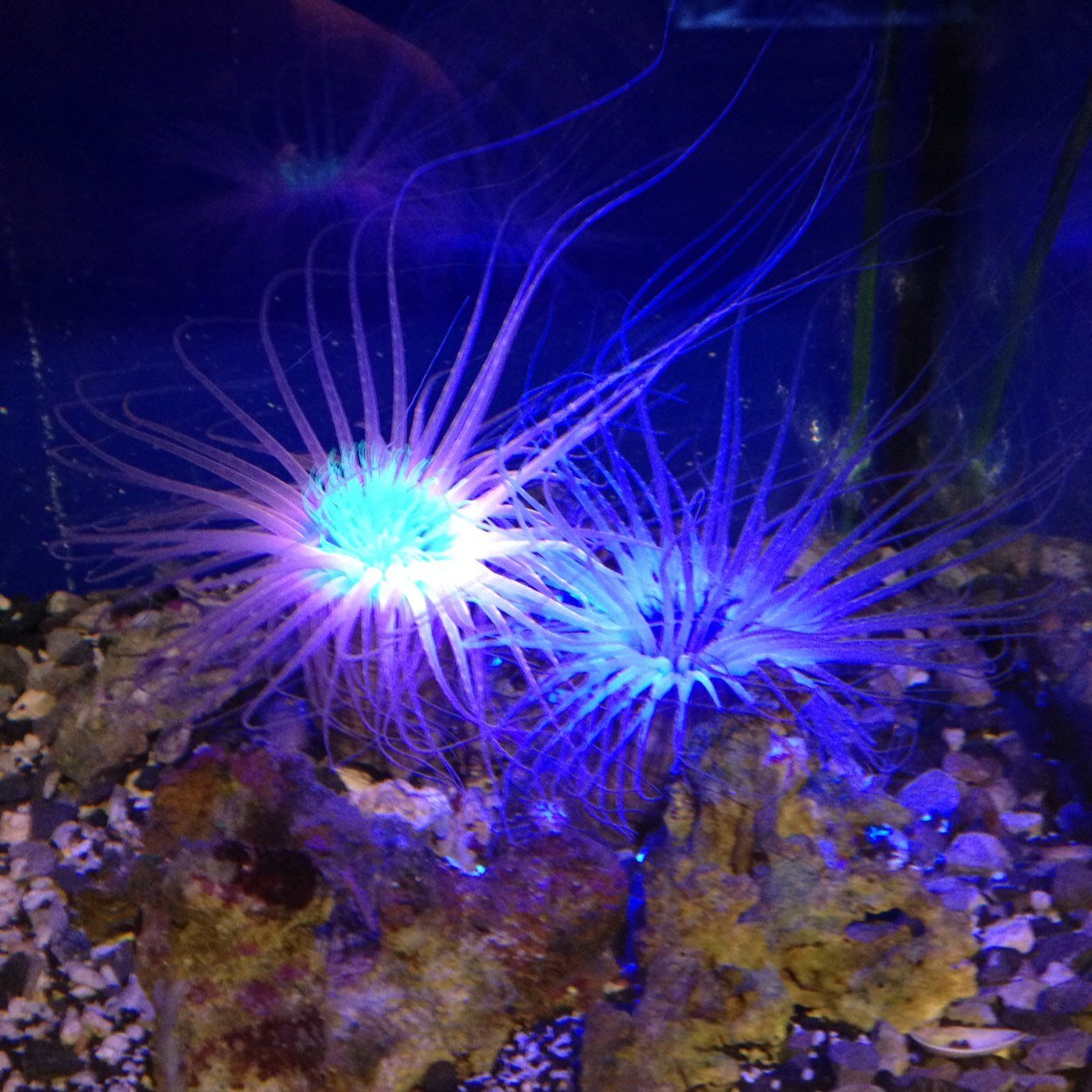 boy__86's profile picture. Hi! I'm Paul, 32 years old and from the Netherlands.