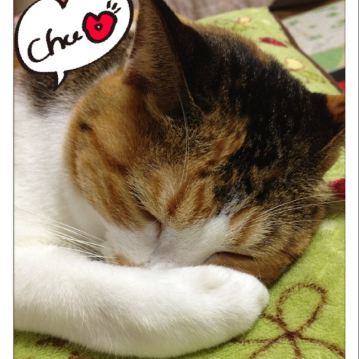 3606Otti's profile picture. 宮崎市、福祉の仕事してます！