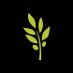 Evoo Greek Kitchen (@evoogk) Twitter profile photo