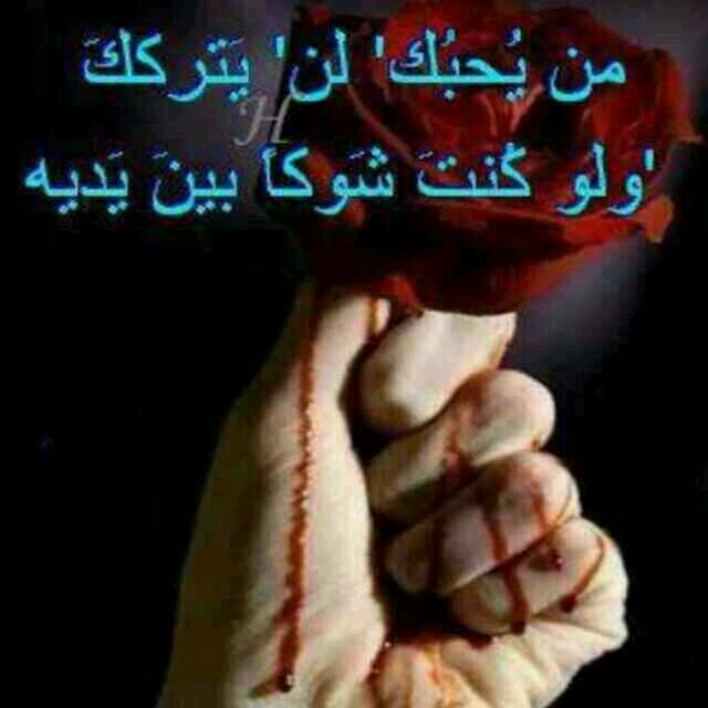 aliale526's profile picture. 