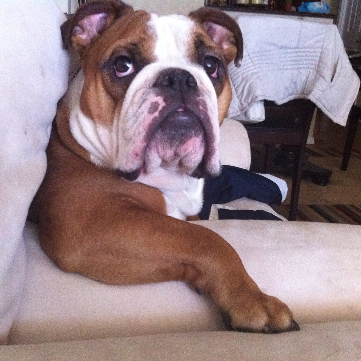 Chunk ❤️ 03/28/2009-01/01/2023