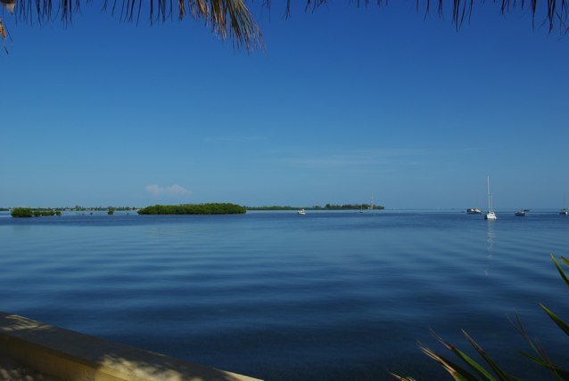 pguerret's profile picture. 