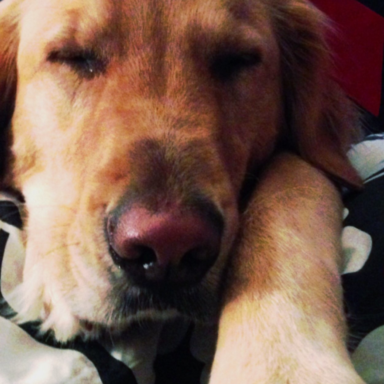 jsboo1's profile picture. 