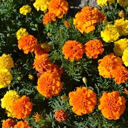 JaneLeslie4's profile picture. Teacher-Librarian at Rosemary Heights, Surrey, B.C., runner, and proud to be from Quebec. Go Habs Go!