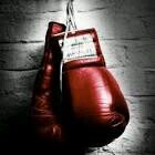BoxingBoxing59's profile picture. 