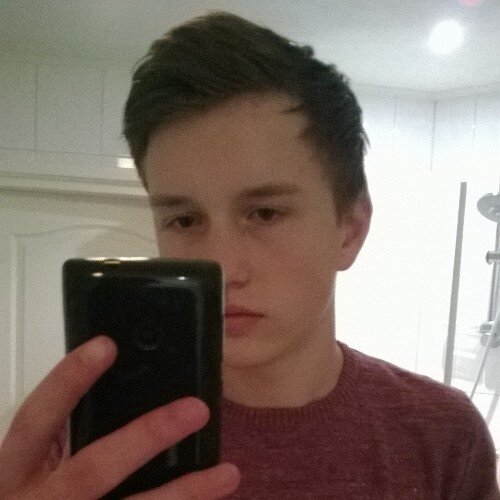 GemertB1/diehard gamer