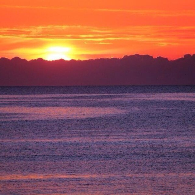 AnnieAMC77's profile picture. 