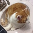 Cortney Ross - @CRoSSFiRe1108 - Twitter