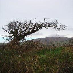 I breá liom péintéireacht, ceol, litraíocht,obair cruaig,agus daoine.