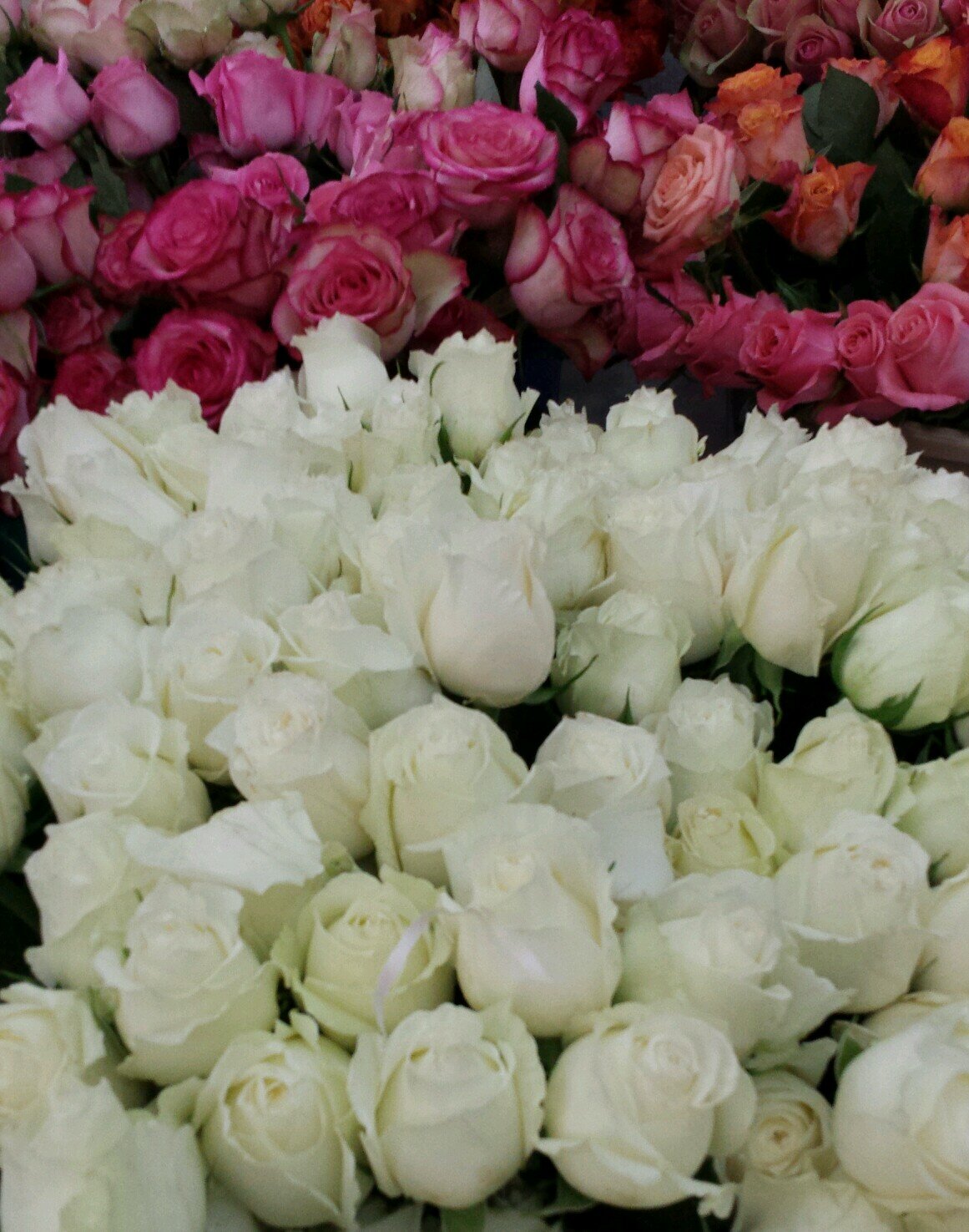 Heaven♡