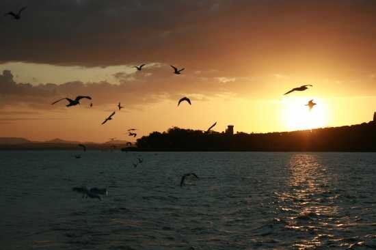 provadistratta's profile picture. 