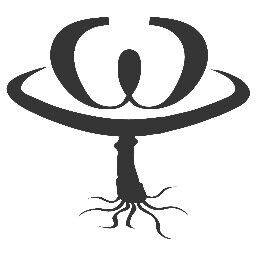 D1G1TAL SP1R1T SHAMANZ /////// WILD EmbeddingS