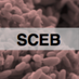 ASU Biodesign SCEB (@environbiotech) Twitter profile photo