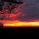 Gail - @GailHaggerty1 - Twitter