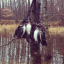 Judd Clinton - @JuddClinton - Twitter