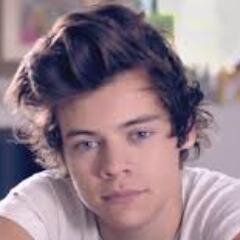 Sou directioner , Barb, Lovatic, Smiler E Arianator