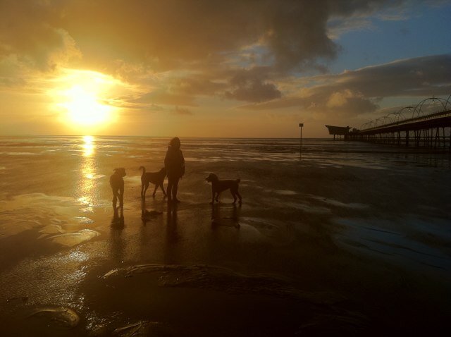 gazjacko69_gary's profile picture. Development coach at Wigan jnr latics fc , Preston North end scout. . Love football & fly fishing. Blogger https://t.co/oYQWBXGQB8