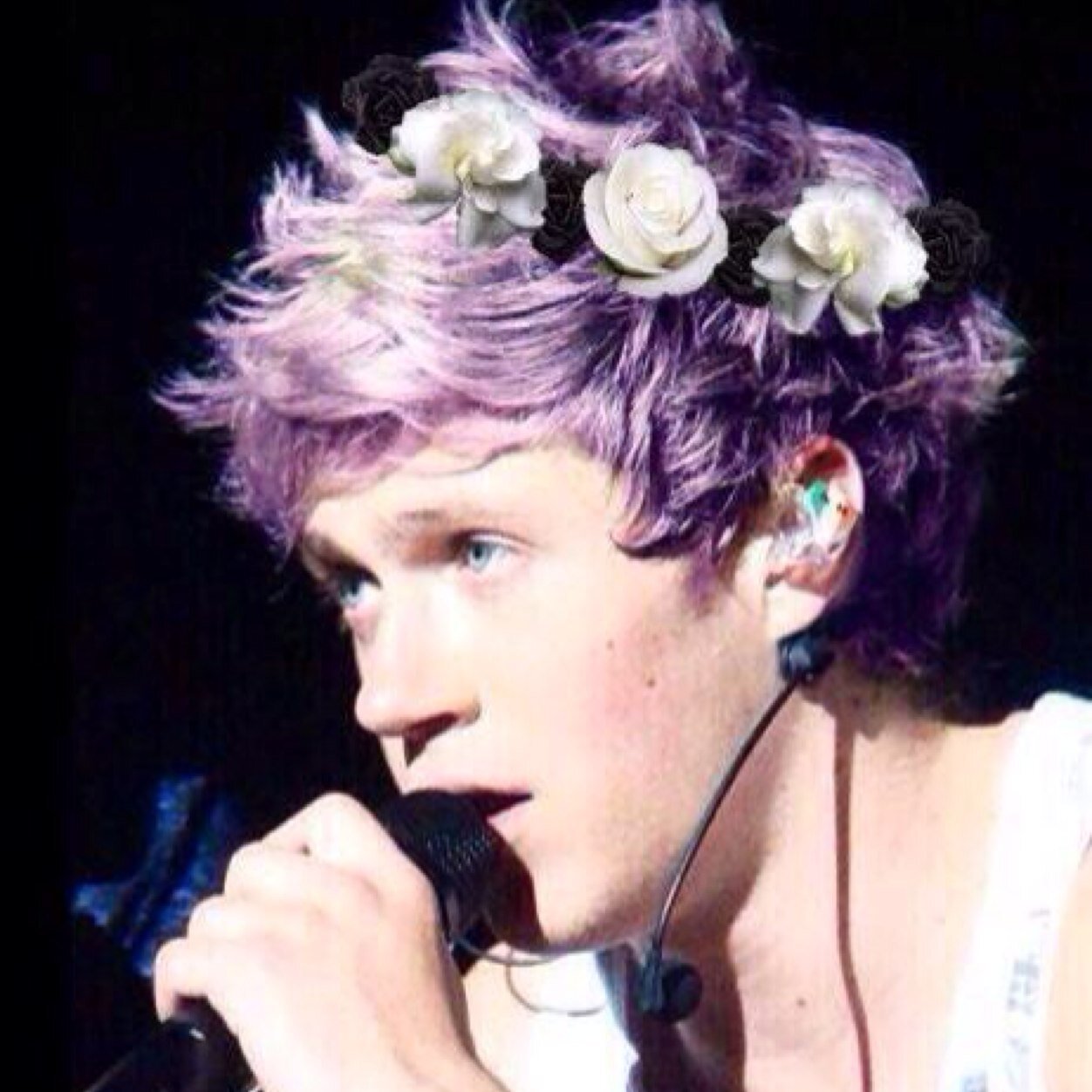 Follow @softkittyzouis please x