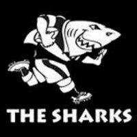 Cell C Sharks Forum(@CellCSharks) 's Twitter Profileg